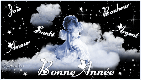 Bonne et heureuse ann�e 2007 � tous.