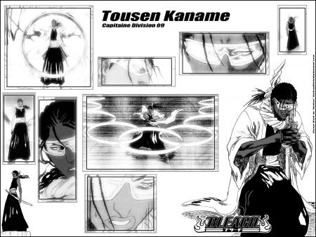 Kaname Tousen,capitaine de la 9eme division du gotei 13