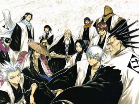 Les Shinigamis du Seireitei(Bleach)