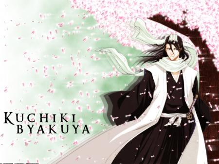 Kuchiki Byakuya,capitaine de la 6eme division du gotei 13