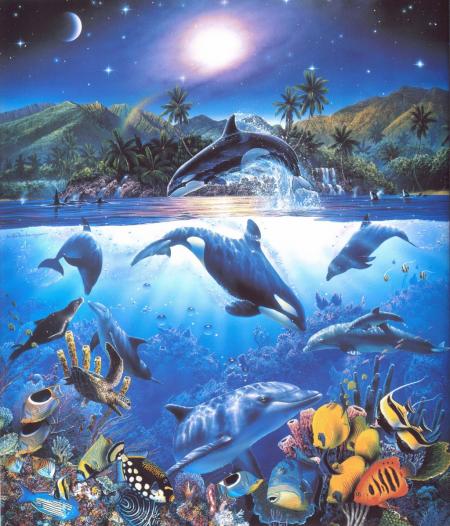 Superbe image d'animaux marin