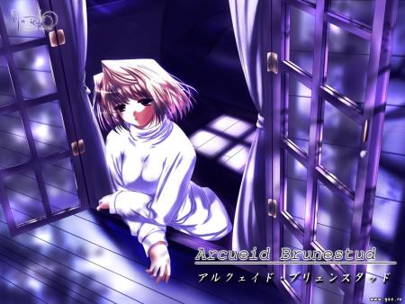Arcueid Brunestud de Shingetsutan Tsukihime