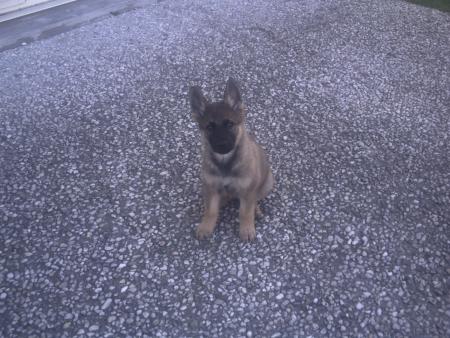 Le nouveau venu dans la famille ^^